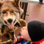 Im Erlebnismuseum Lernort Natur