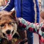 Im Erlebnismuseum Lernort Natur