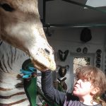 Im Erlebnismuseum Lernort Natur