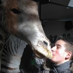 Im Erlebnismuseum Lernort Natur