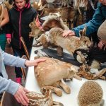 Im Erlebnismuseum Lernort Natur