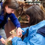 Im Erlebnismuseum Lernort Natur