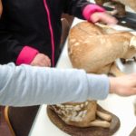 Im Erlebnismuseum Lernort Natur