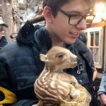 Im Erlebnismuseum Lernort Natur