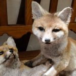 Im Erlebnismuseum Lernort Natur