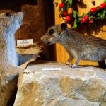 Im Erlebnismuseum Lernort Natur