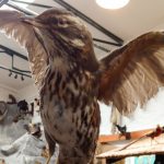 Im Erlebnismuseum Lernort Natur