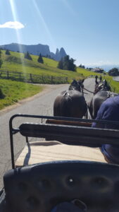 Die hügelige Landschaft ist zu sehen. Im Zentrum sieht man die zwei Pferde (Rückansicht), welche die Kutsche ziehen von der aus das Foto gemacht wurde