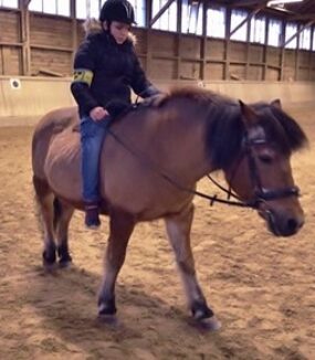 Schloss-Schule Ilvesheim