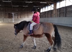 Ein Kind sitzt auf einem Pferd und reitet eigenständig durch die Reithalle