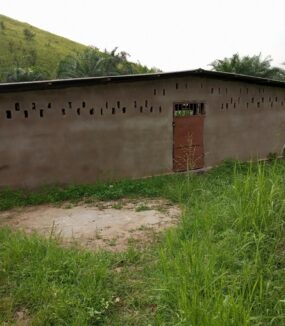 Projekt zur Sicherung der Nahrungs- und Gesund&shy;heits&shy;vorsorge